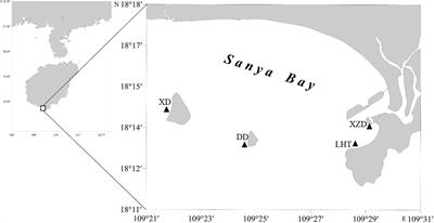 Abundance and Characteristics of Microplastics in Seawater and Corals From Reef Region of Sanya Bay, China